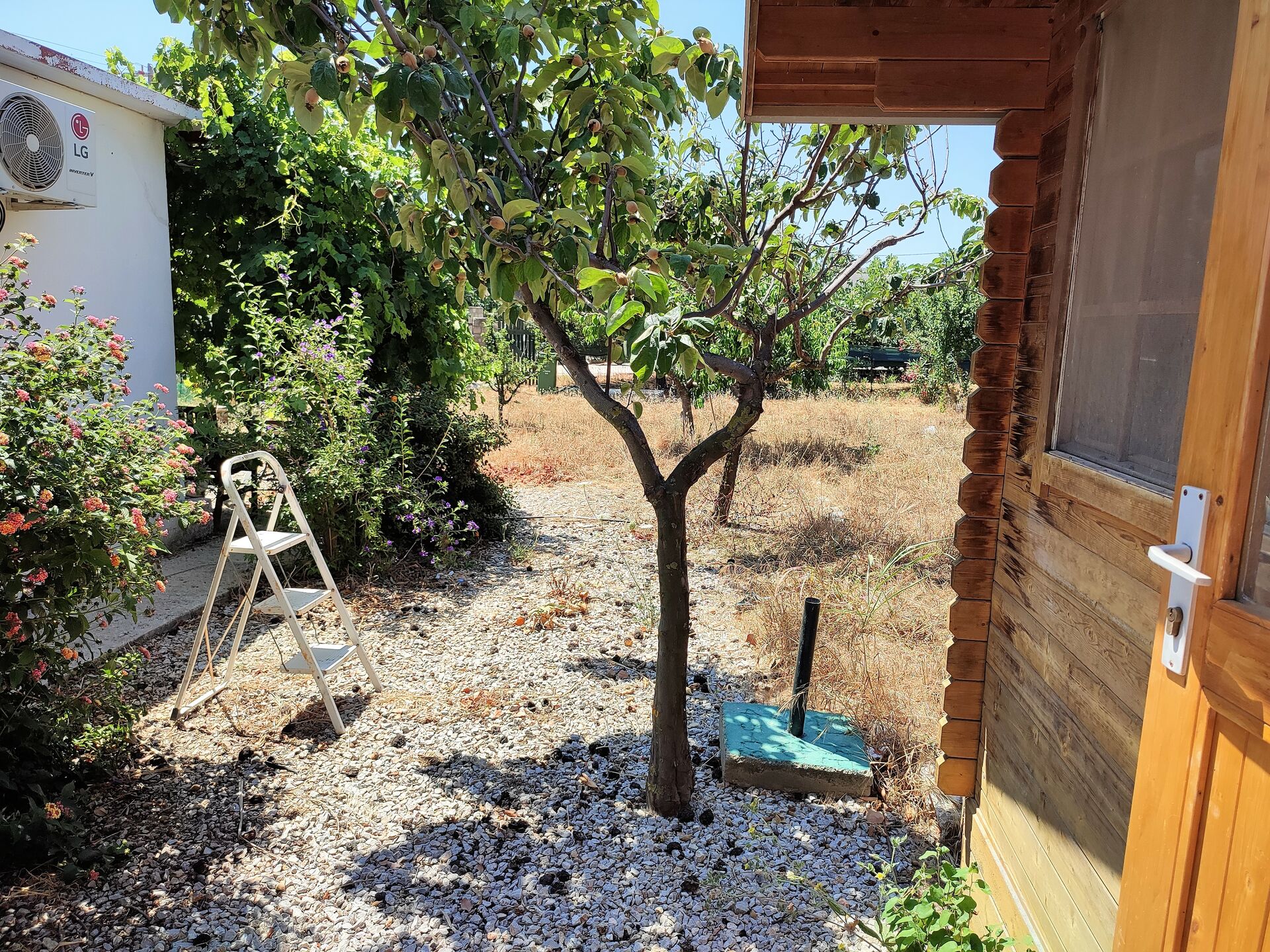 MEER geht immer! Landhaus mit Pool und Gästehaus in traumhafter Lage! in Mastichari - Kos