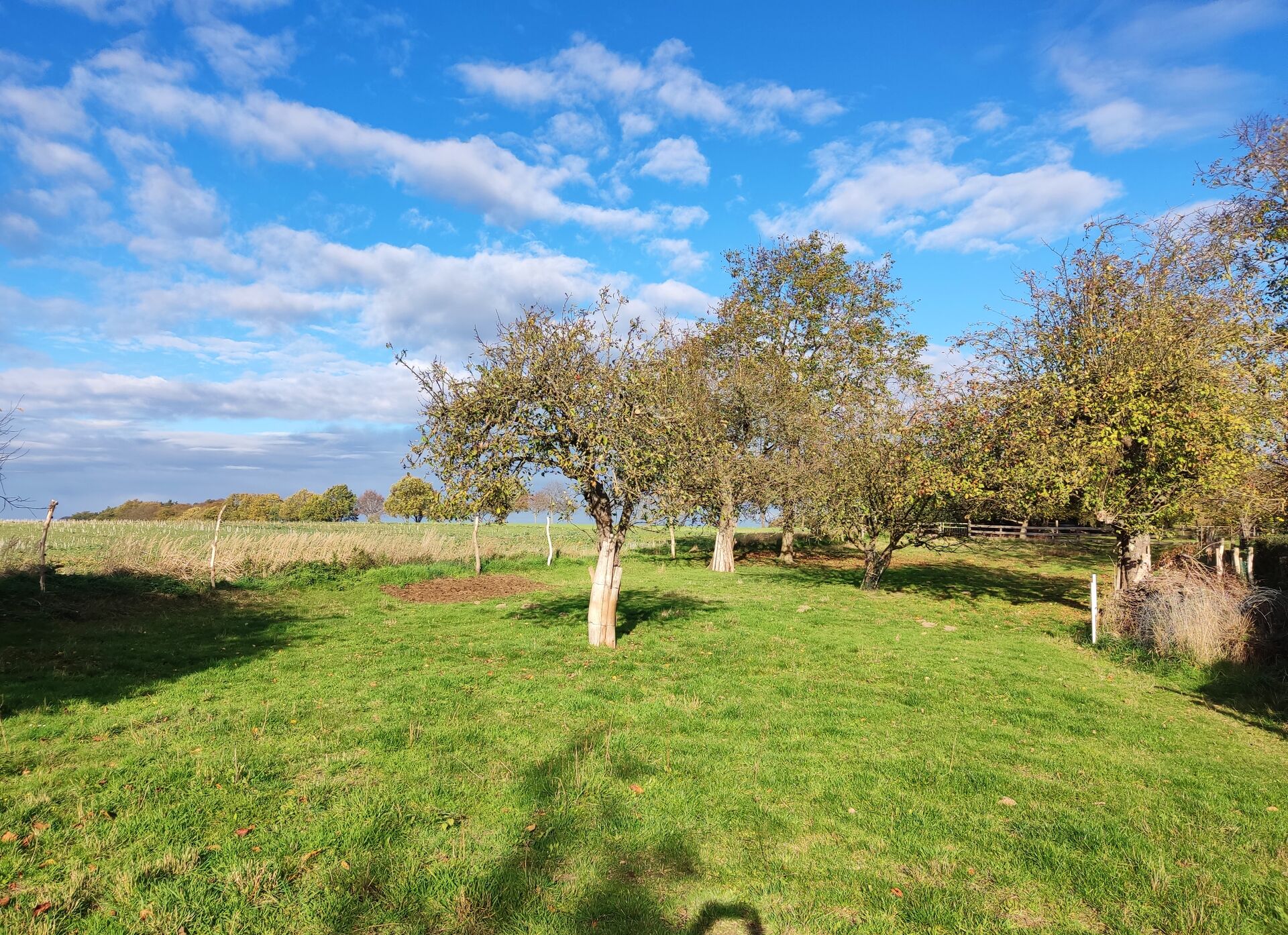 Perfekt eingebettet mit herrlichem Ausblick in Bleckede