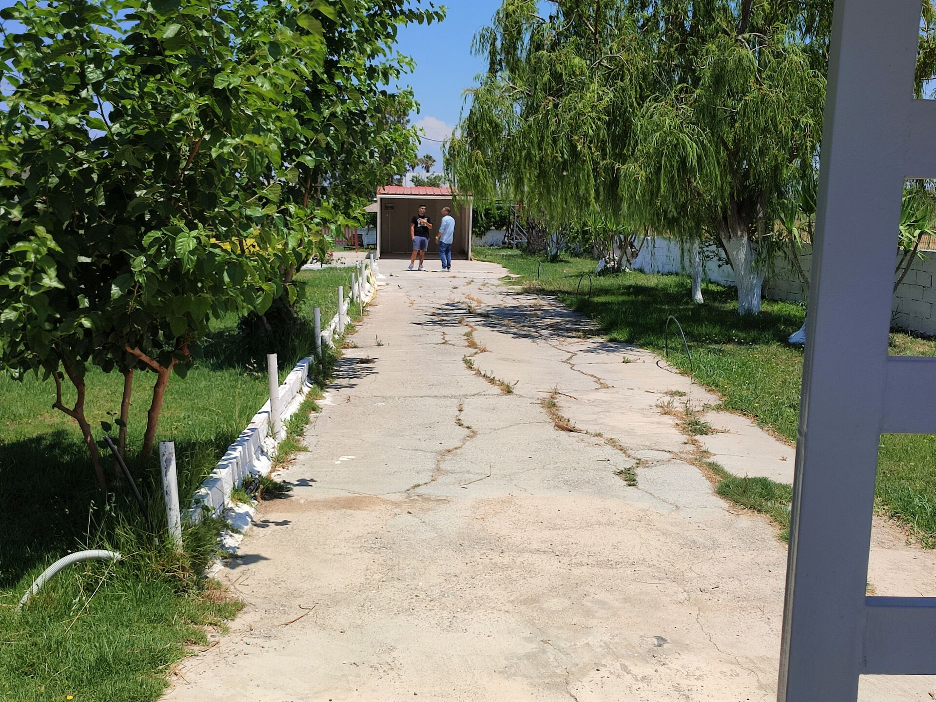 Drei Top-Ferienappartements auf wunderschönem Grundstück als Kapitalanlage! in Kos