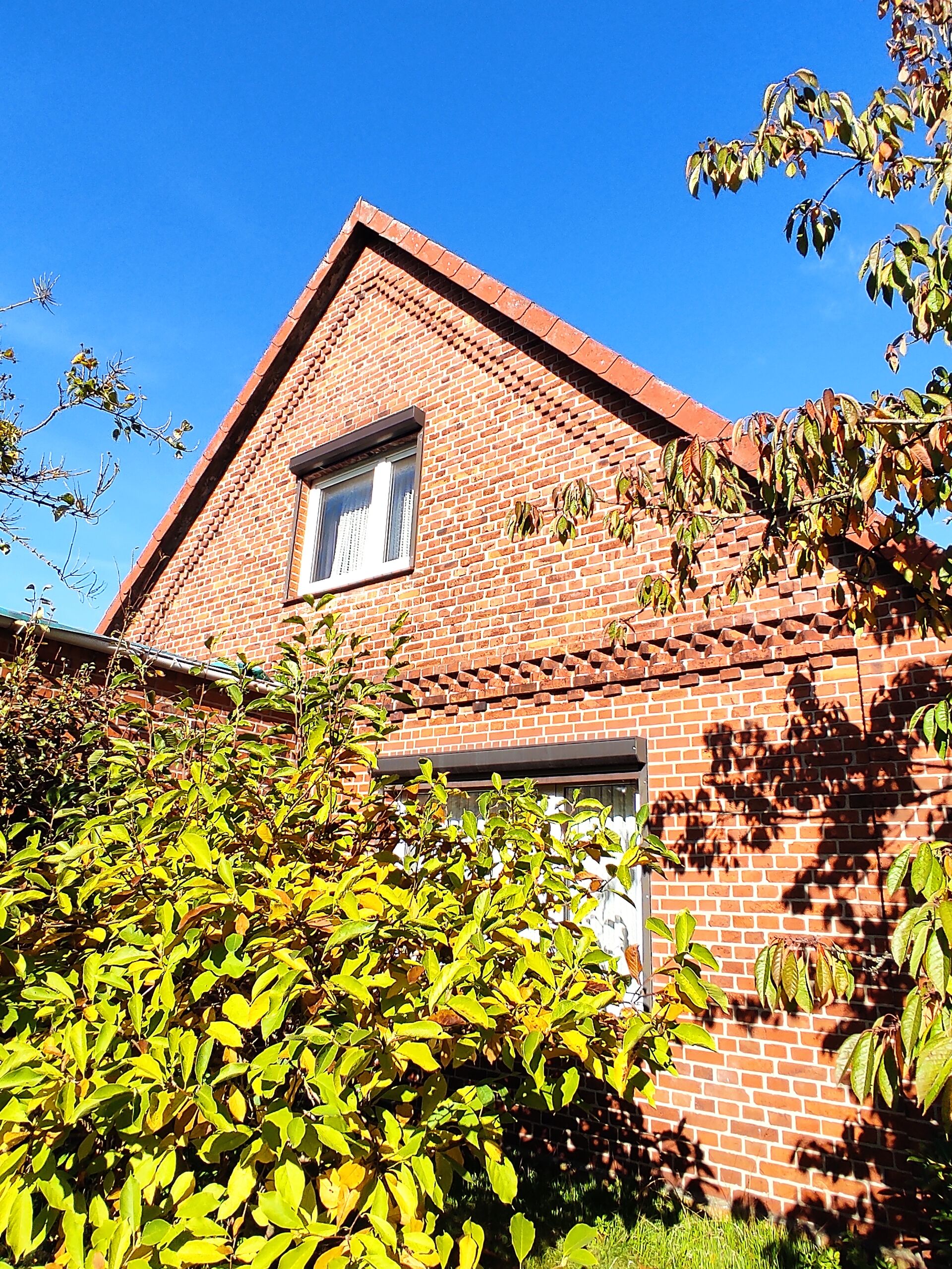 Frischer Wind für altes Bauernhaus! in Vögelsen