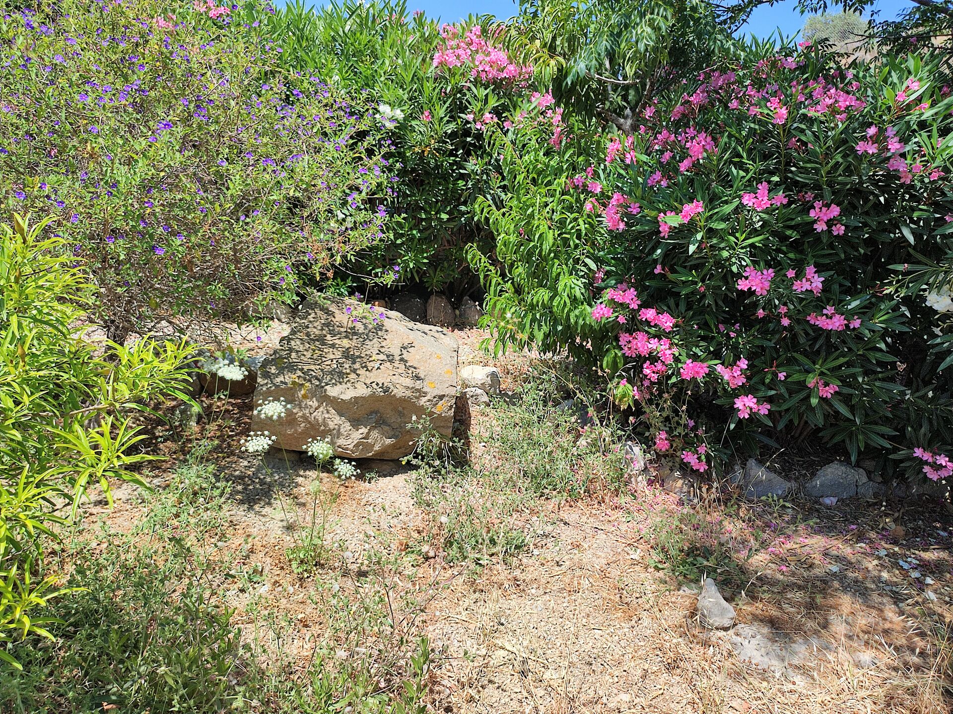 MEER geht immer! Landhaus mit Pool und Gästehaus in traumhafter Lage! in Mastichari - Kos