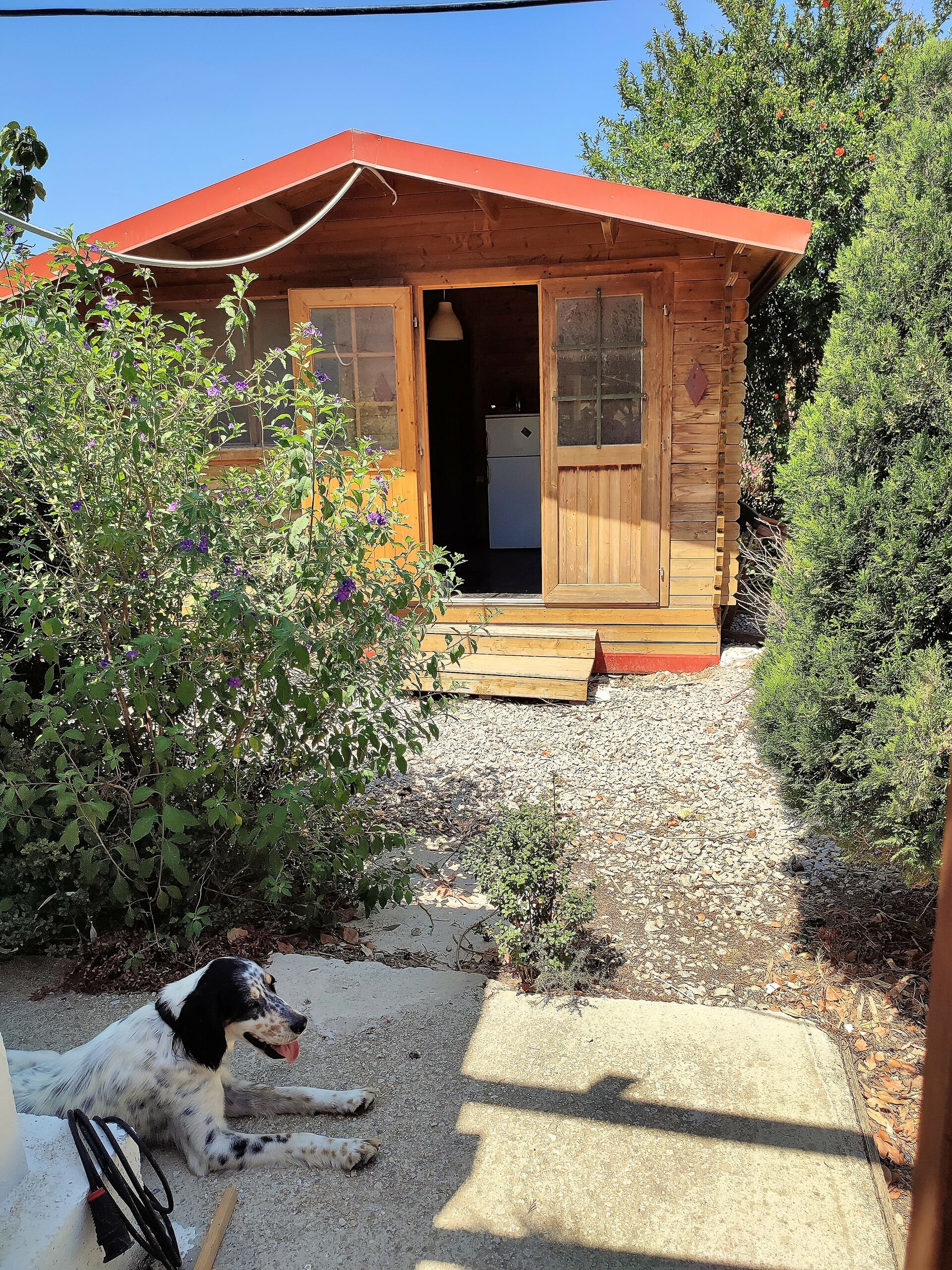 MEER geht immer! Landhaus mit Pool und Gästehaus in traumhafter Lage! in Mastichari - Kos
