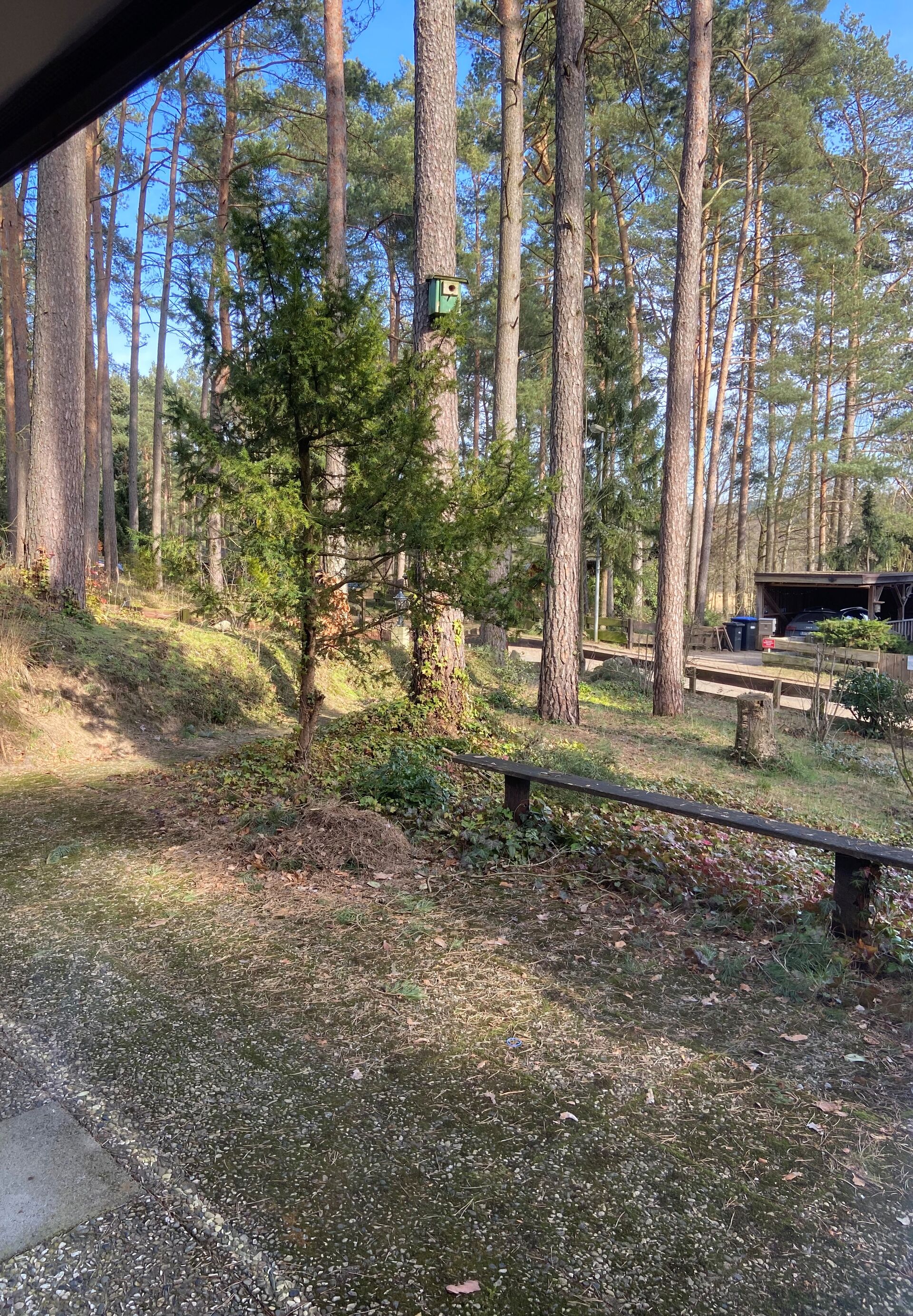 Wohnen unter den Dächern des Waldes * Natur PUR in ruhiger Waldlage* in Nahrendorf