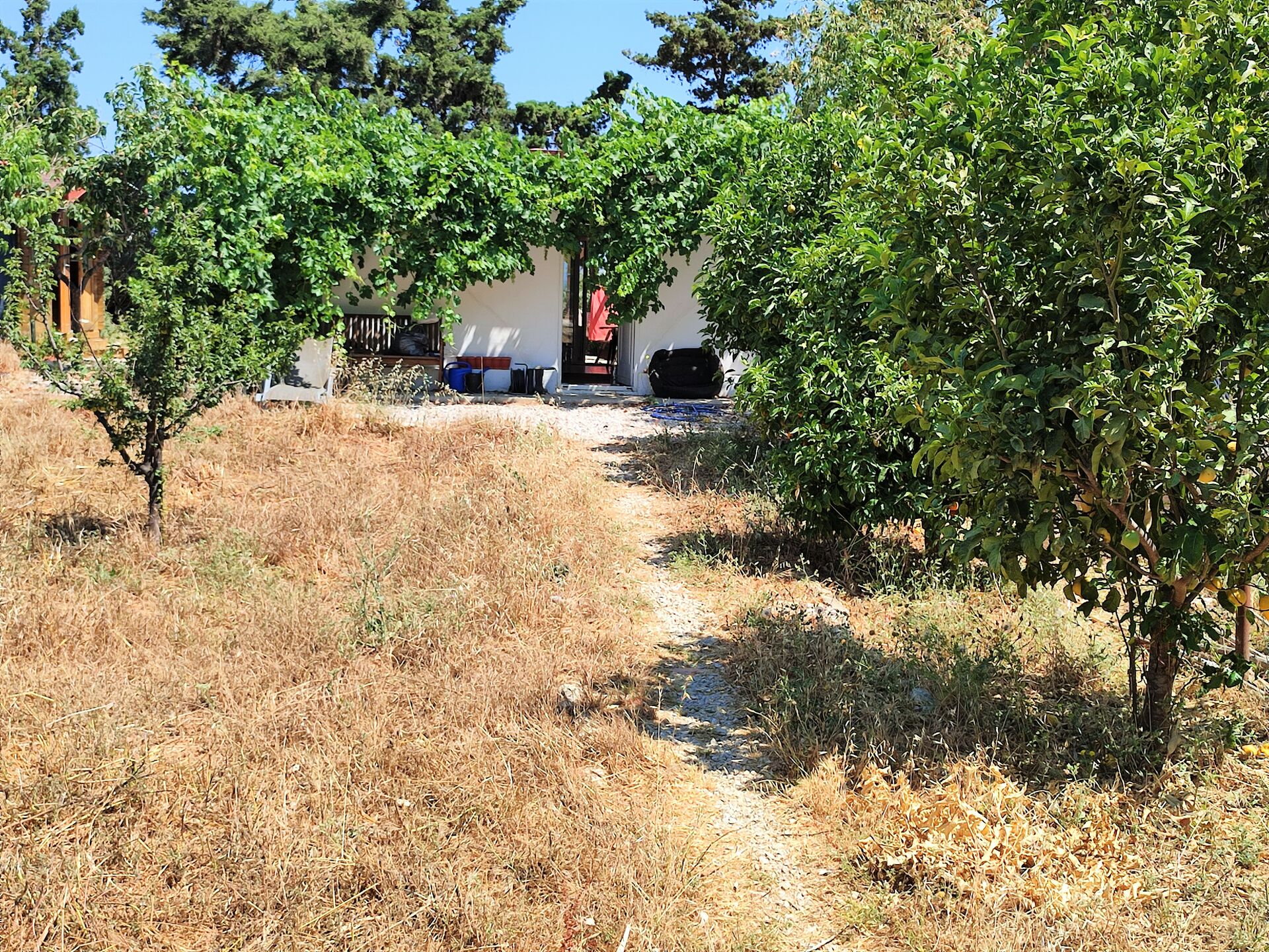 MEER geht immer! Landhaus mit Pool und Gästehaus in traumhafter Lage! in Mastichari - Kos