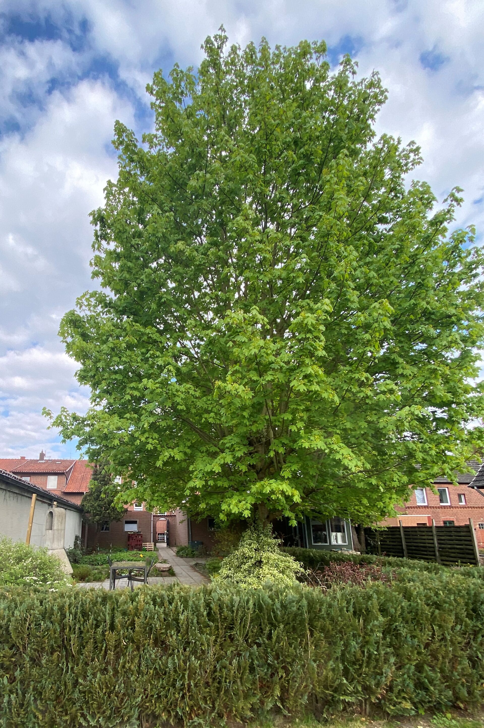 Behagliches Wohnen im Klinker IN BESTER WOHNLAGE VON UELZEN mit Gartennutzung in Uelzen