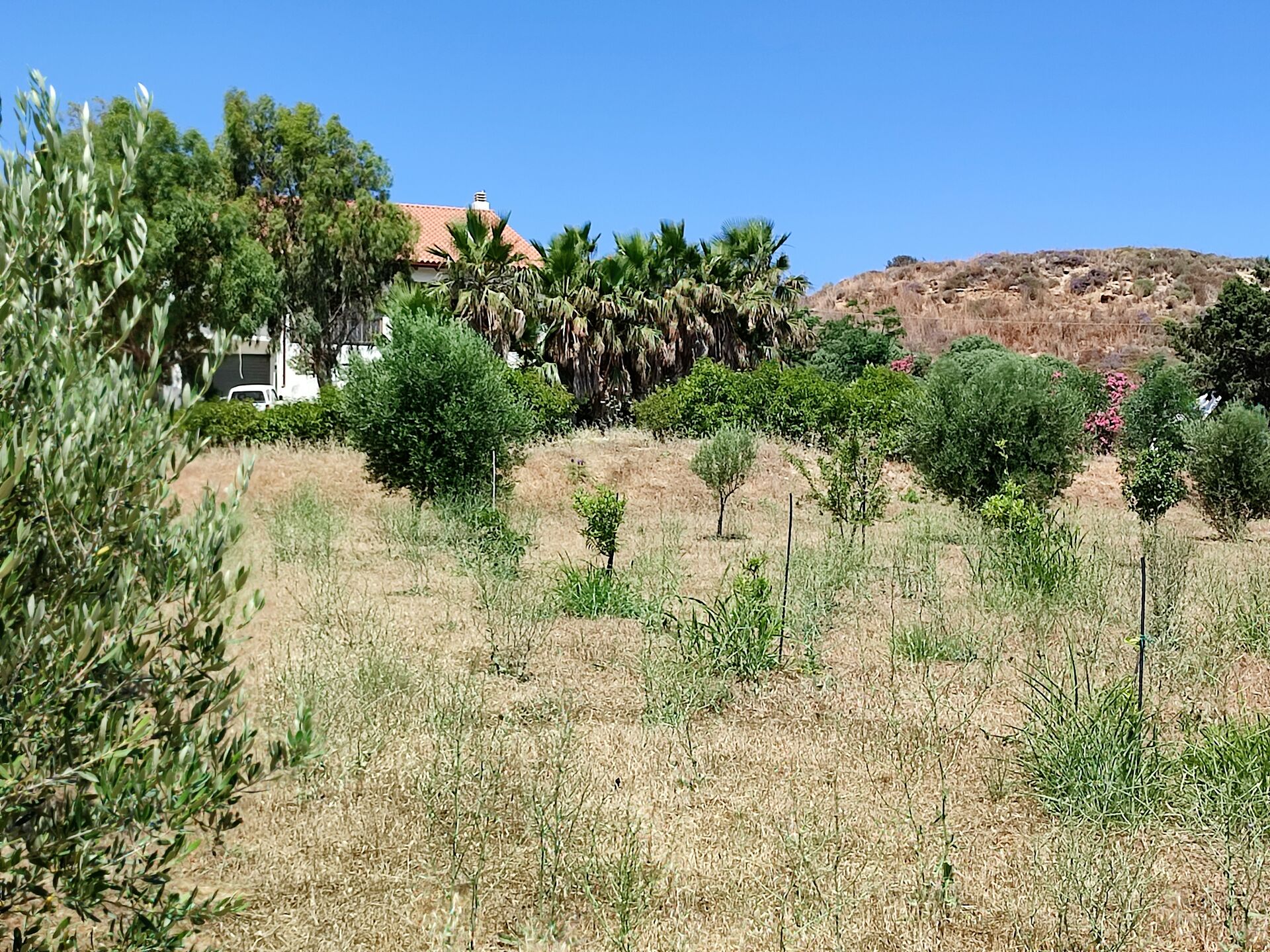 MEER geht immer! Landhaus mit Pool und Gästehaus in traumhafter Lage! in Mastichari - Kos