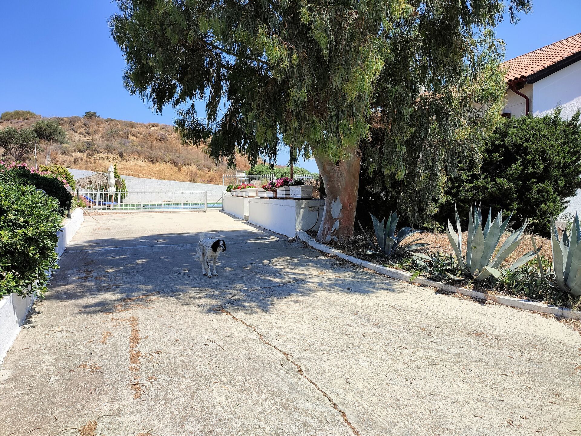 MEER geht immer! Landhaus mit Pool und Gästehaus in traumhafter Lage! in Mastichari - Kos
