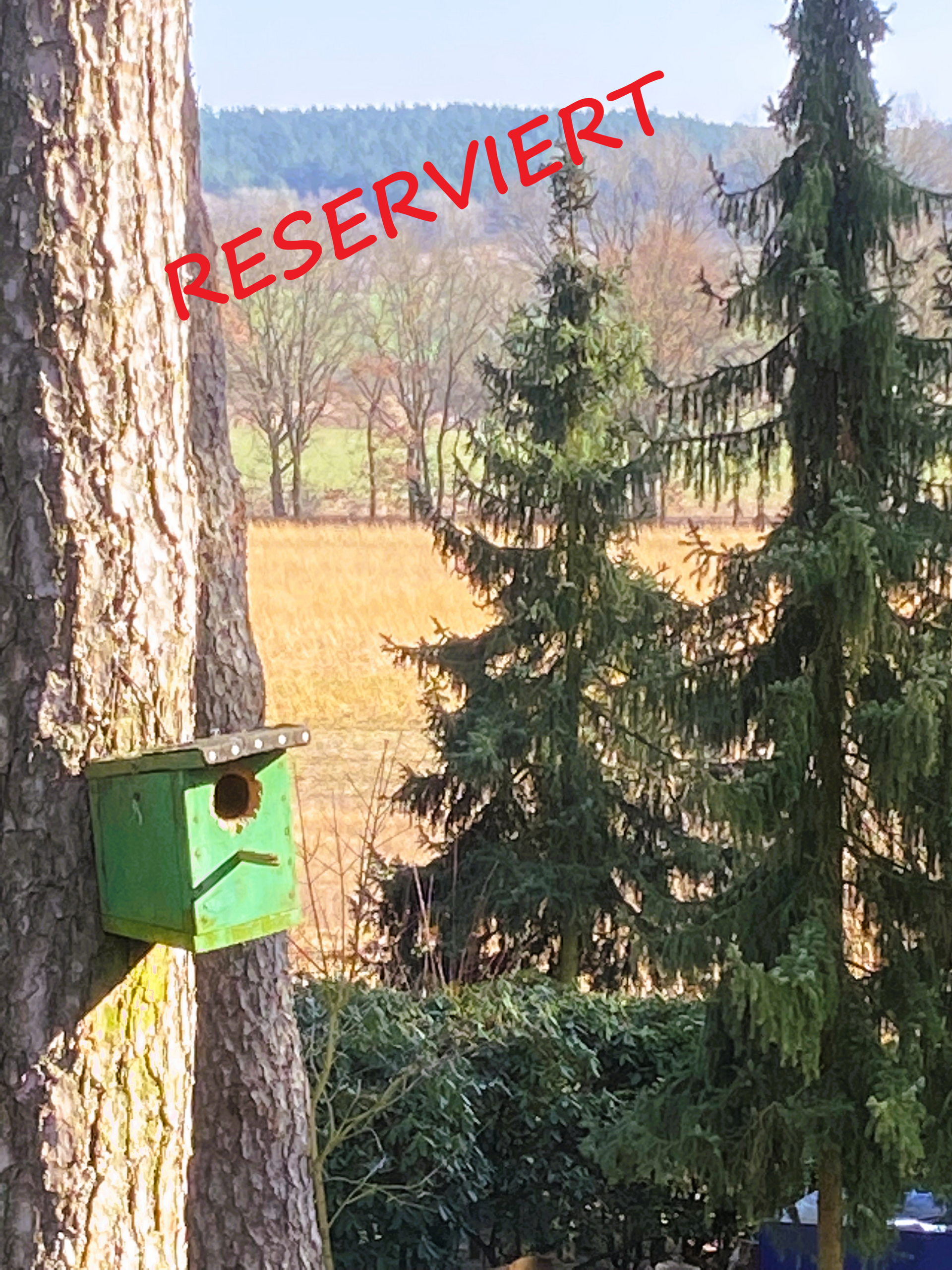 Wohnen unter den Dächern des Waldes * Natur PUR in ruhiger Waldlage* in Nahrendorf
