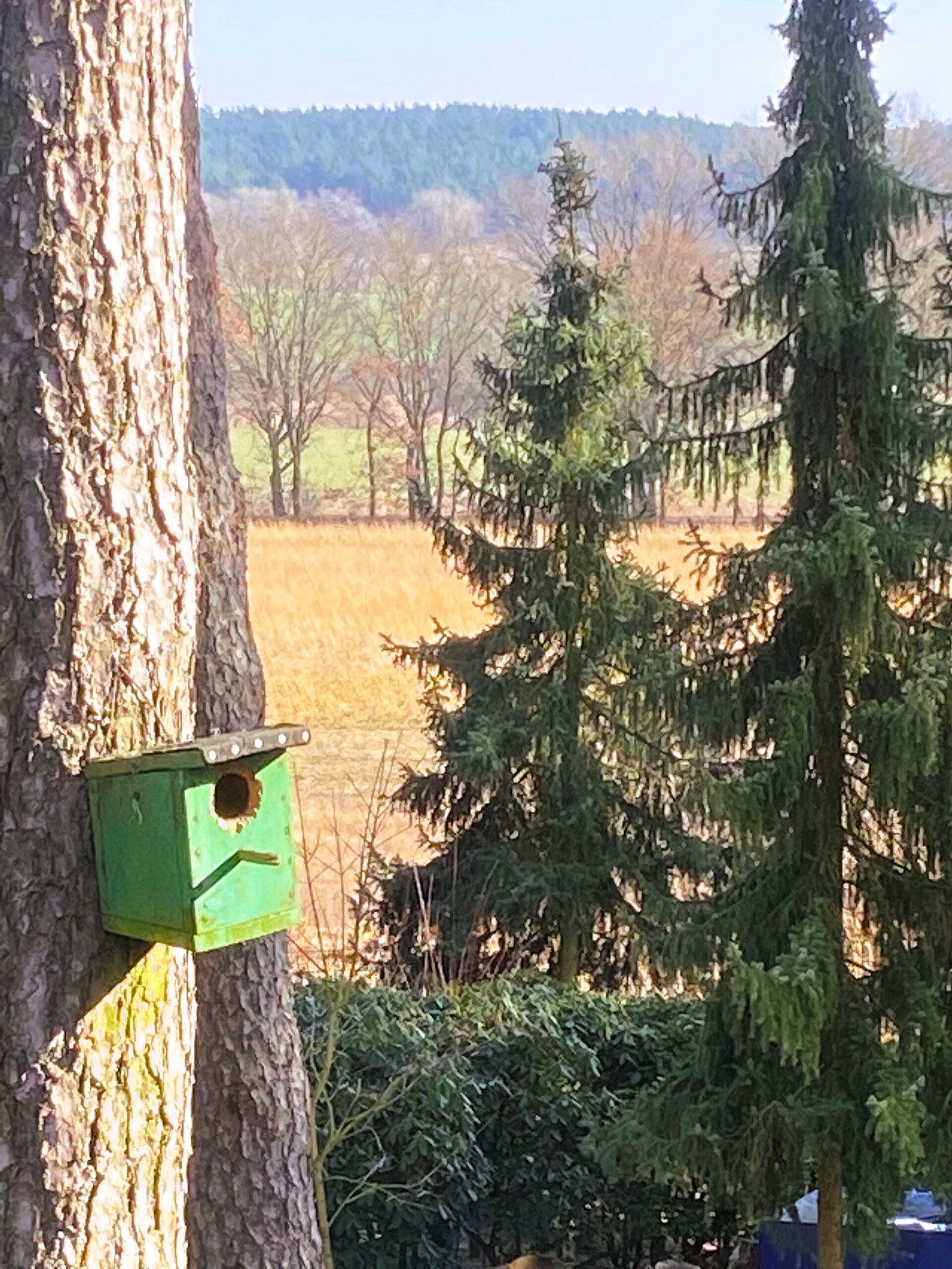 Wohnen unter den Dächern des Waldes * Natur PUR in ruhiger Waldlage* in Nahrendorf