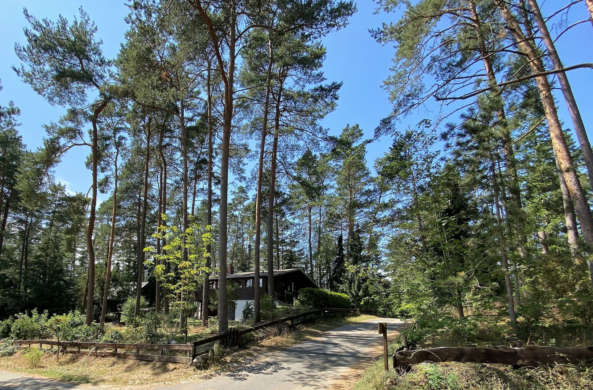 Wohnen unter den Dächern des Waldes * Natur PUR in ruhiger Waldlage* in Nahrendorf