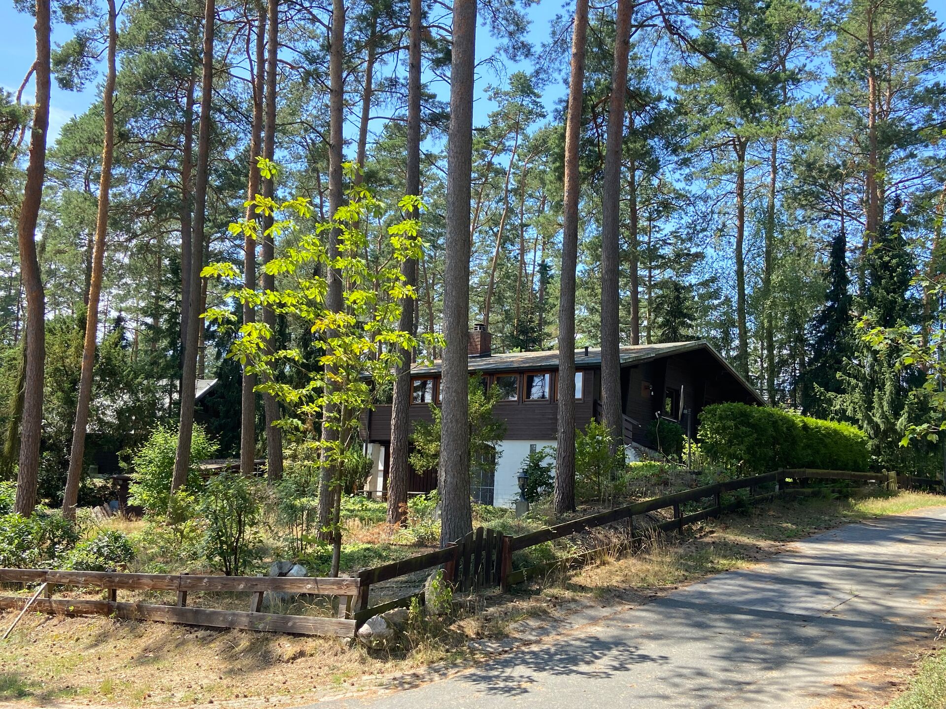 Wohnen unter den Dächern des Waldes * Natur PUR in ruhiger Waldlage* in Nahrendorf