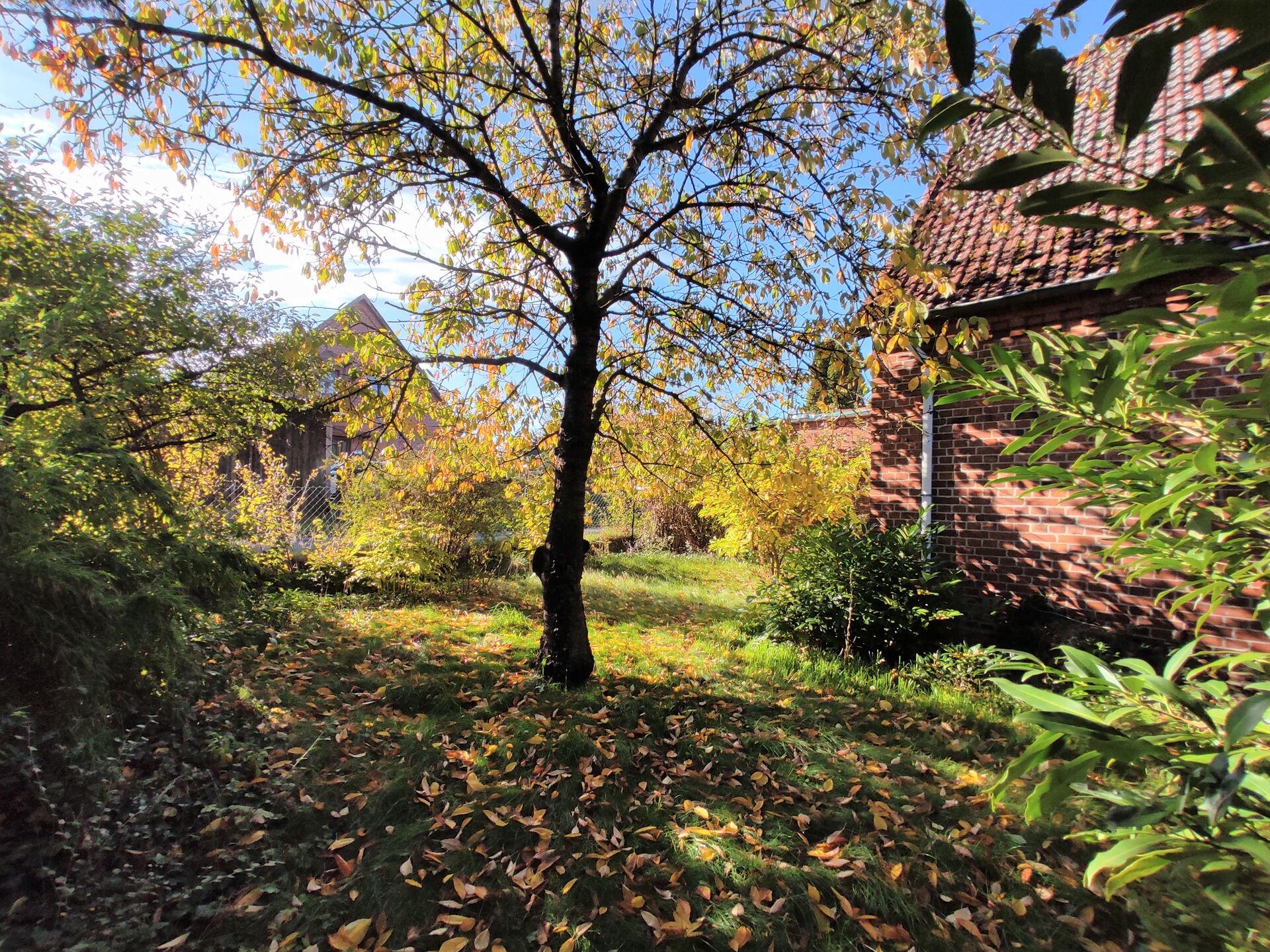 Frischer Wind für altes Bauernhaus! in Vögelsen