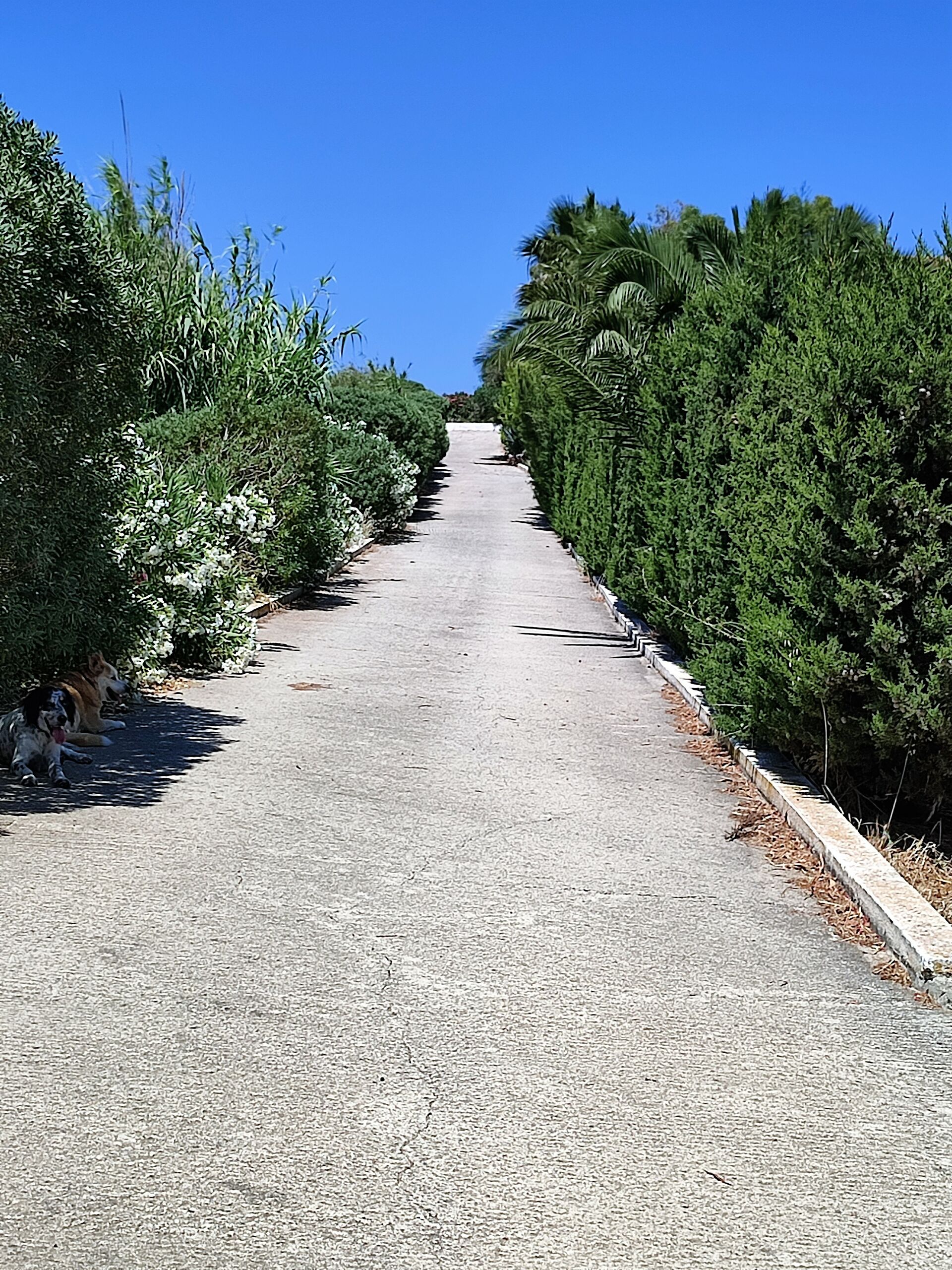 MEER geht immer! Landhaus mit Pool und Gästehaus in traumhafter Lage! in Mastichari - Kos