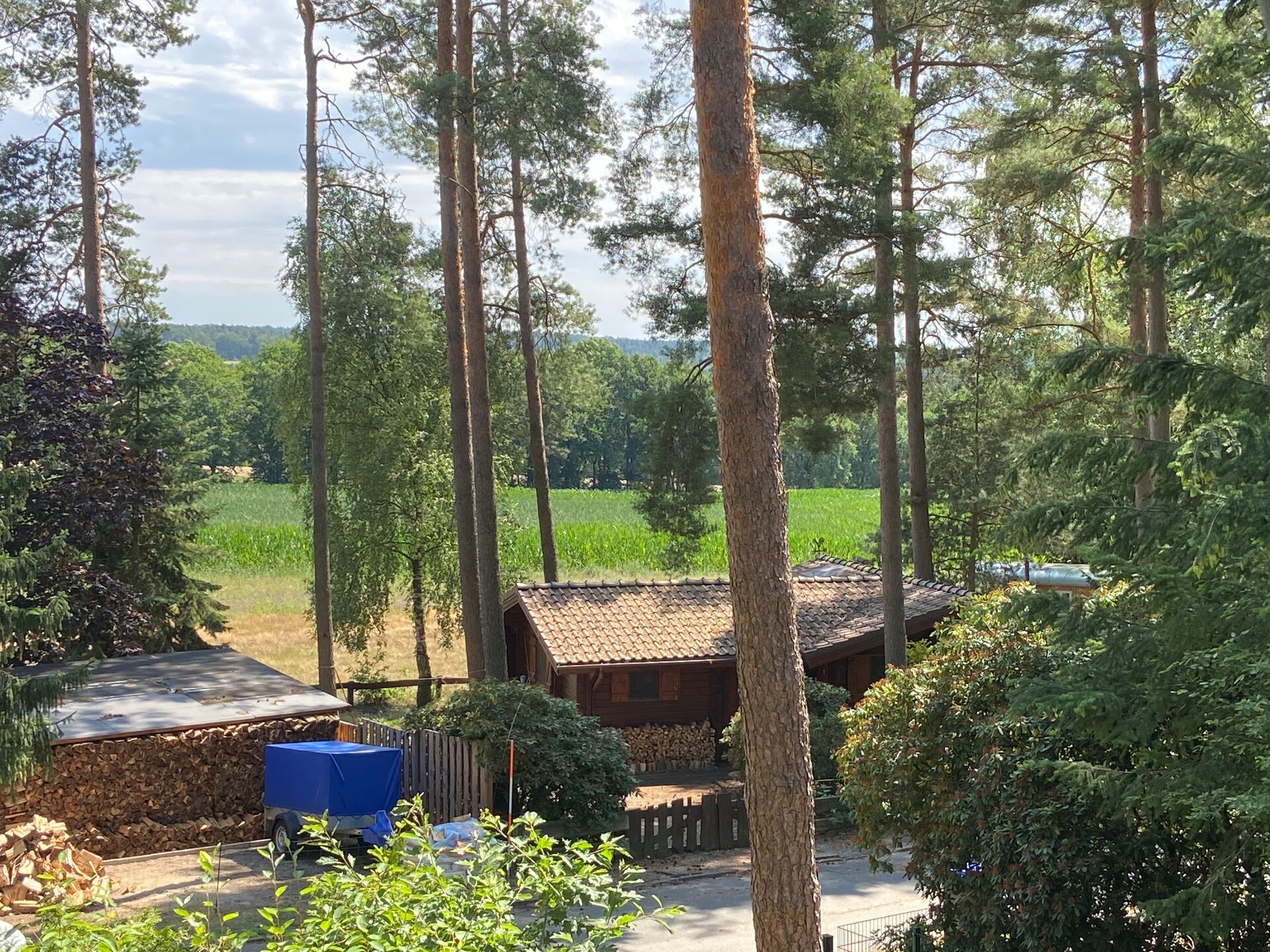 Wohnen unter den Dächern des Waldes * Natur PUR in ruhiger Waldlage* in Nahrendorf