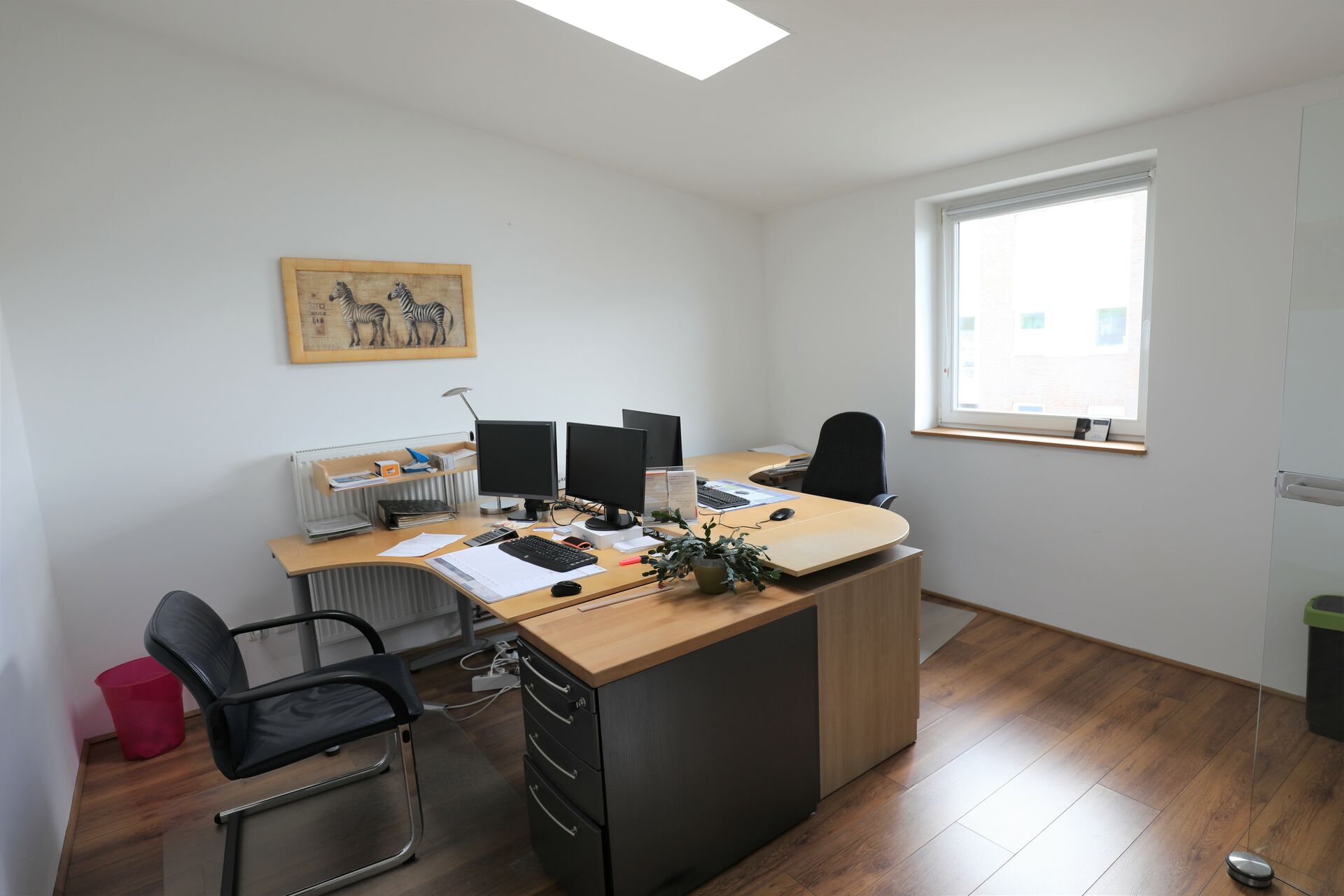 2 helle, freundliche Büros in netter Lüneburger Bürogemeinschaft in Lüneburg