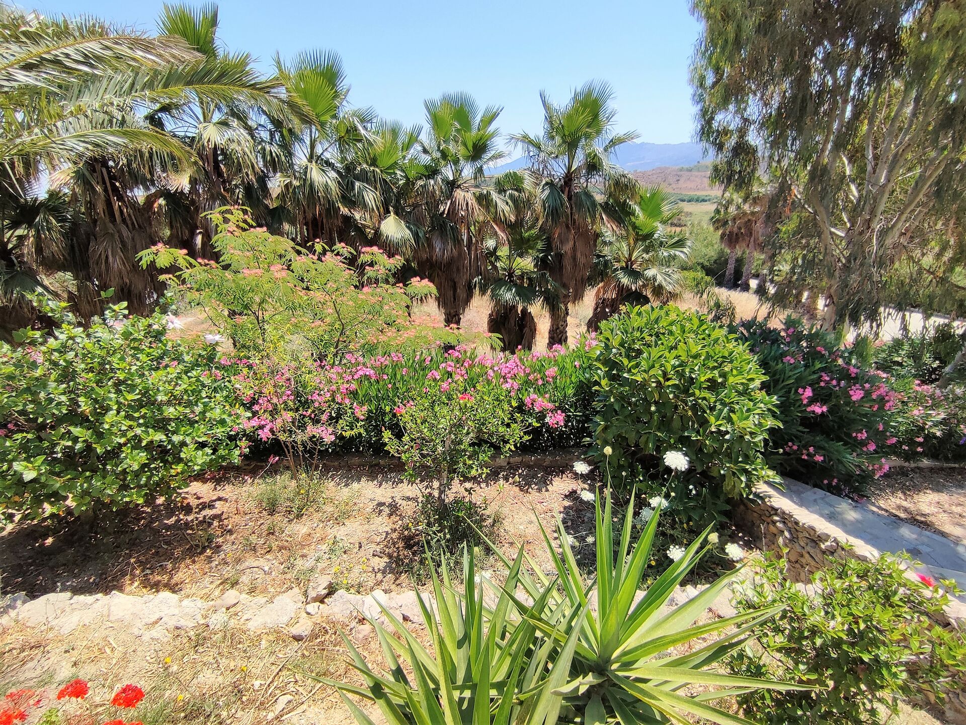 MEER geht immer! Landhaus mit Pool und Gästehaus in traumhafter Lage! in Mastichari - Kos
