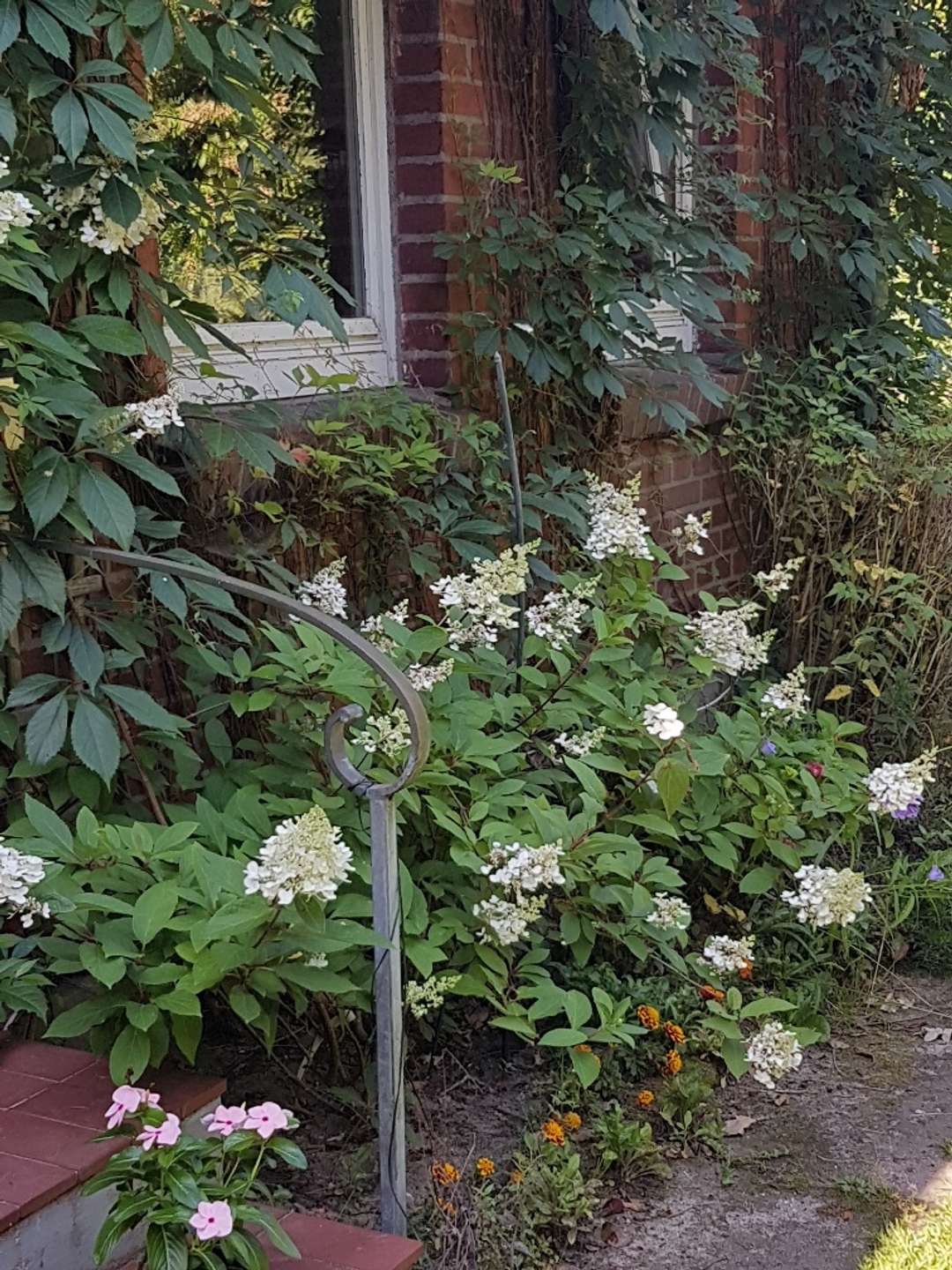 Altes bewahren und Neues gestalten.. in Nahrendorf