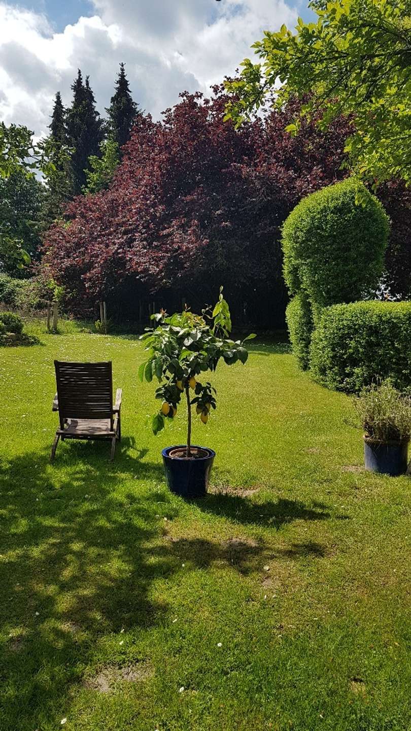 Altes bewahren und Neues gestalten.. in Nahrendorf