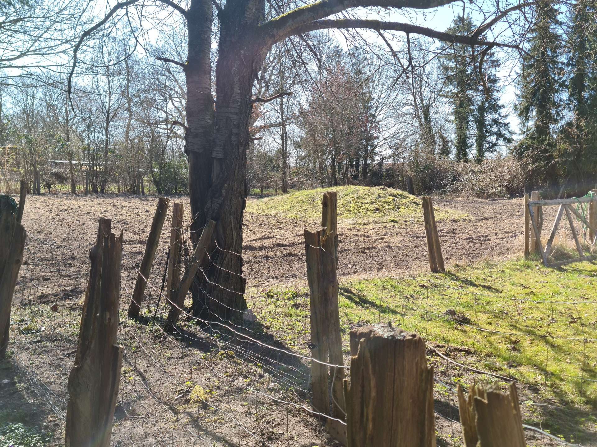 Altes bewahren und Neues gestalten.. in Nahrendorf