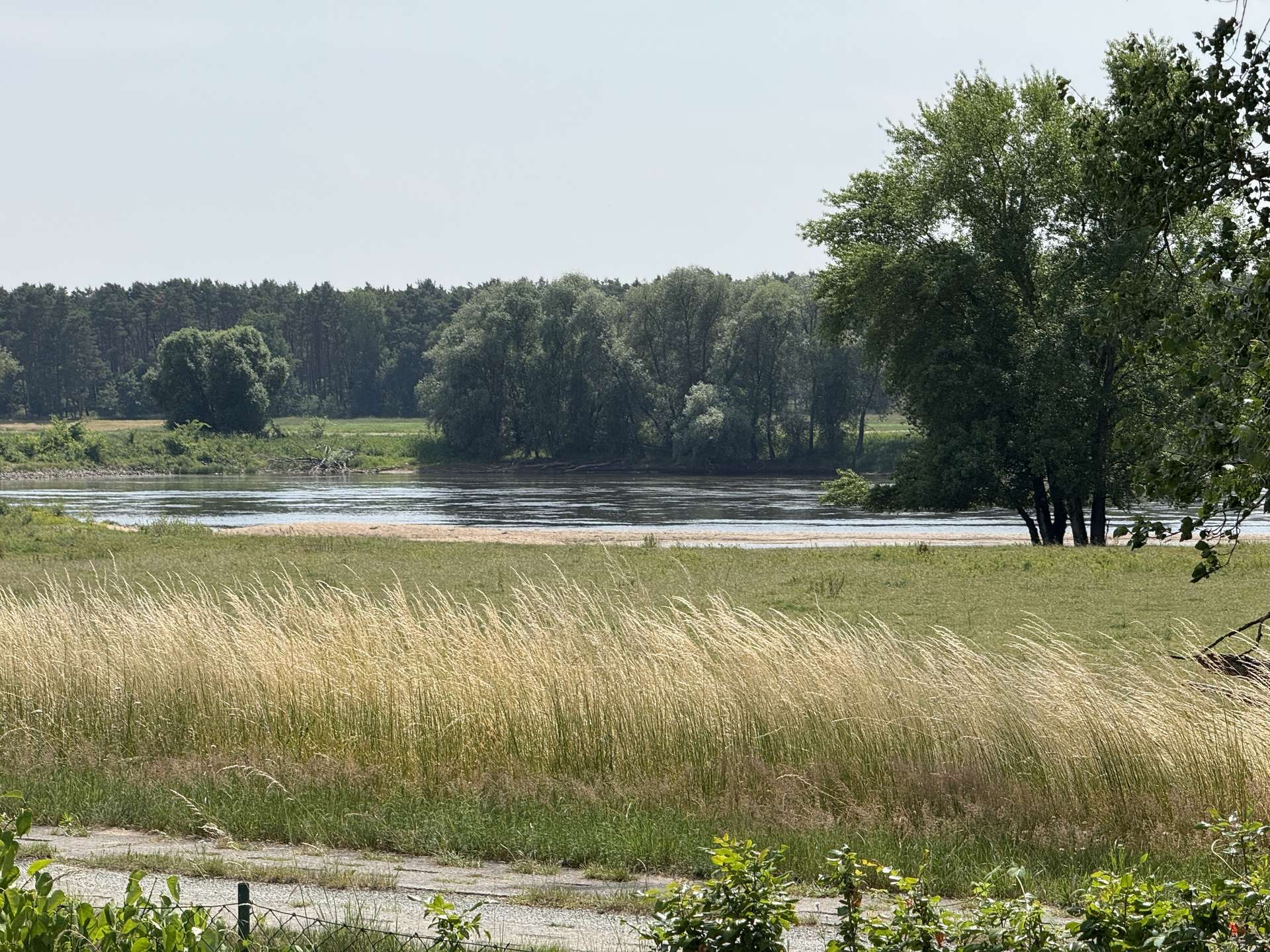 Historisches Fachwerkhaus in erster Reihe direkt am Deich in Klein-Wootz 