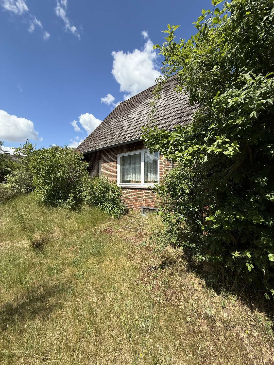 Blick in die Elbtalaue Solides- Einfamilienhaus mit Potenzial-Ideal für kreative Gestalter in Neu Darchau
