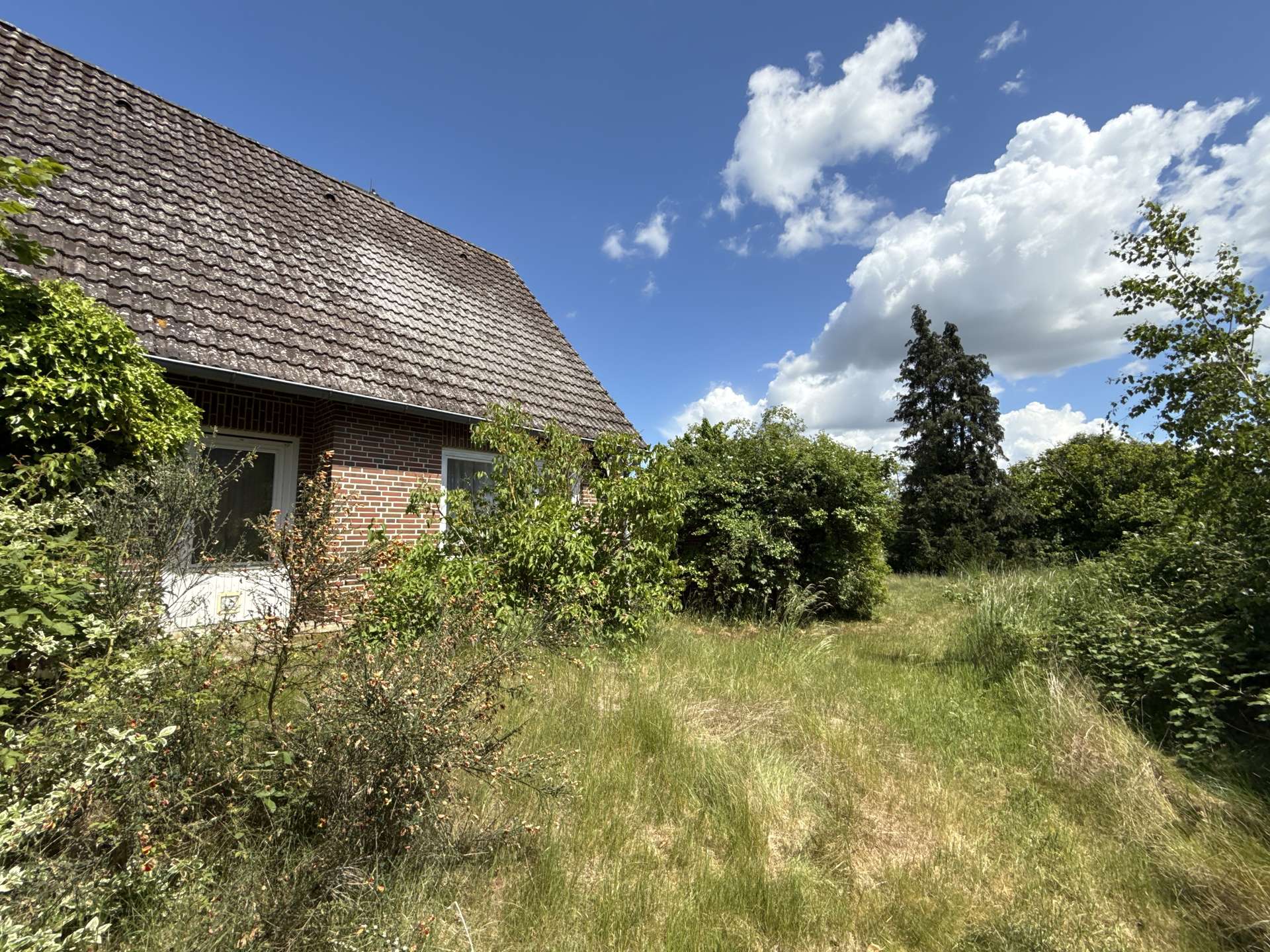 Blick in die Elbtalaue Solides- Einfamilienhaus mit Potenzial-Ideal für kreative Gestalter in Neu Darchau