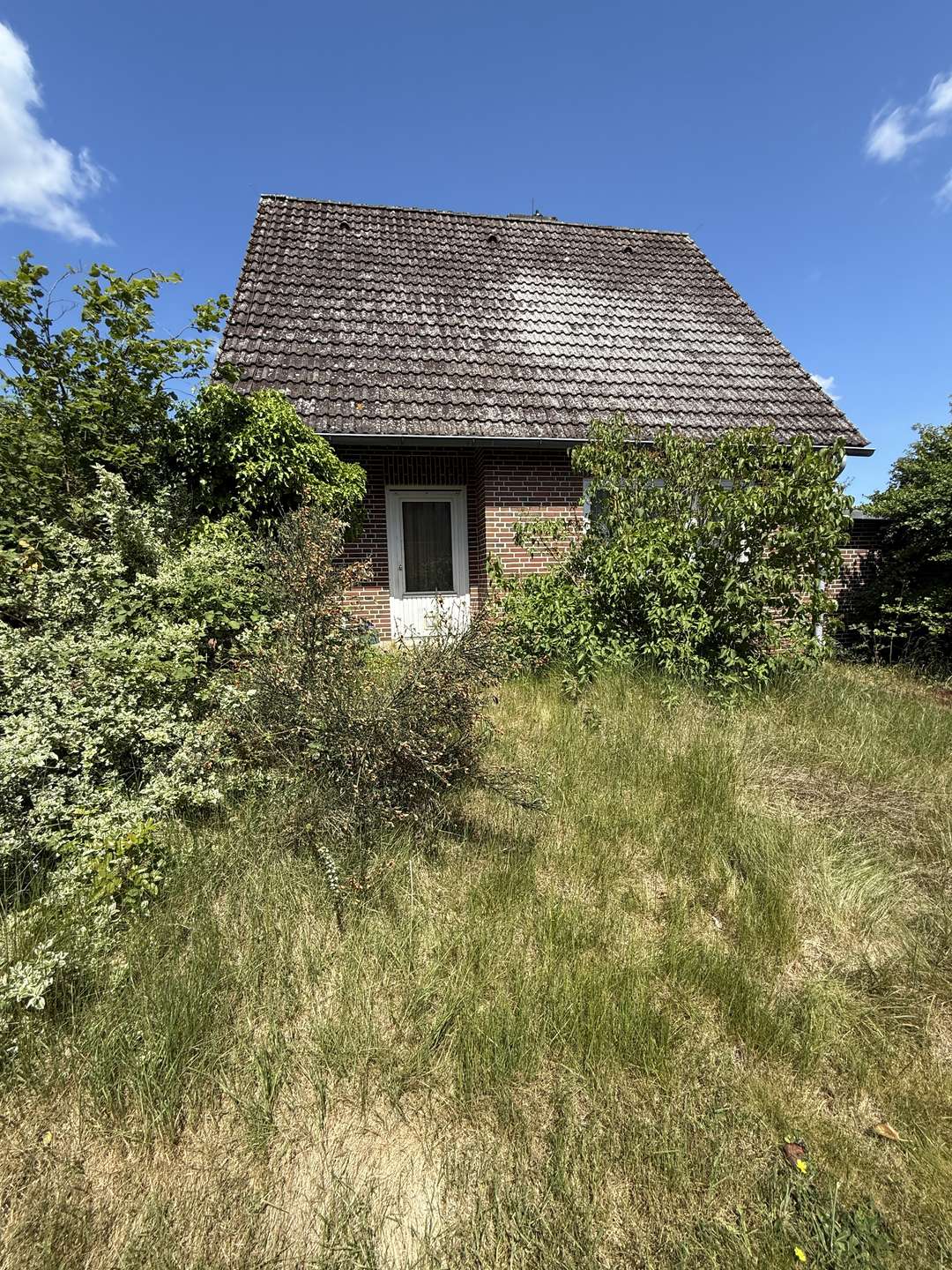 Blick in die Elbtalaue Solides- Einfamilienhaus mit Potenzial-Ideal für kreative Gestalter in Neu Darchau