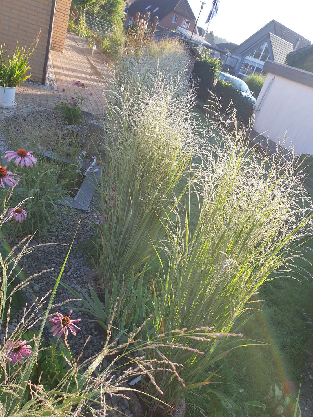 Wohnen und Arbeiten, wo Ruhe und Lebensqualität zuhause sind! in Dahlenburg