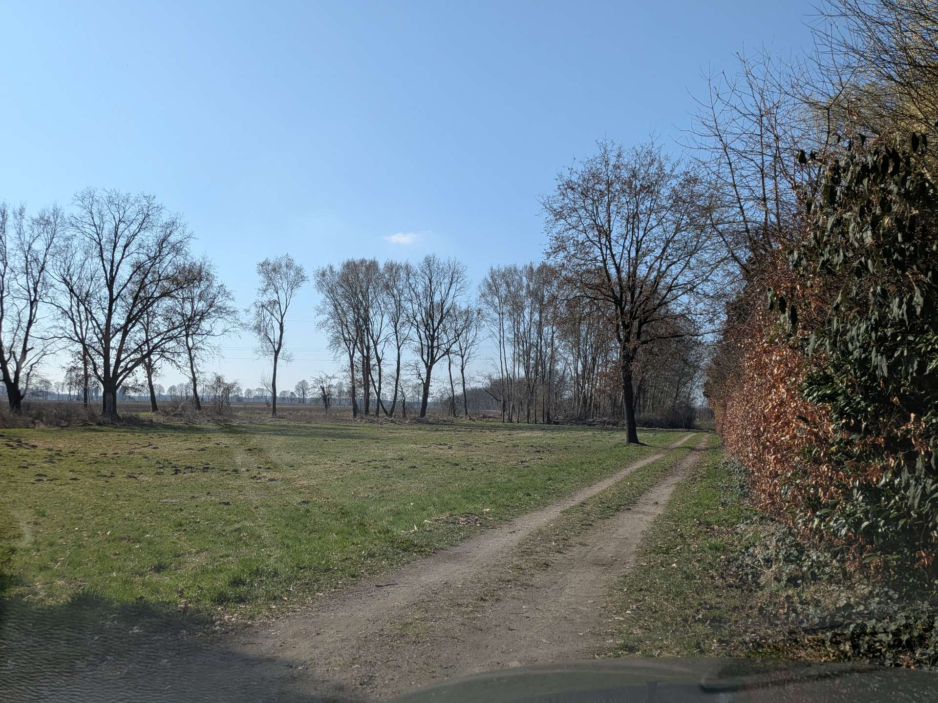 Wohnen und Arbeiten, wo Ruhe und Lebensqualität zuhause sind! in Dahlenburg