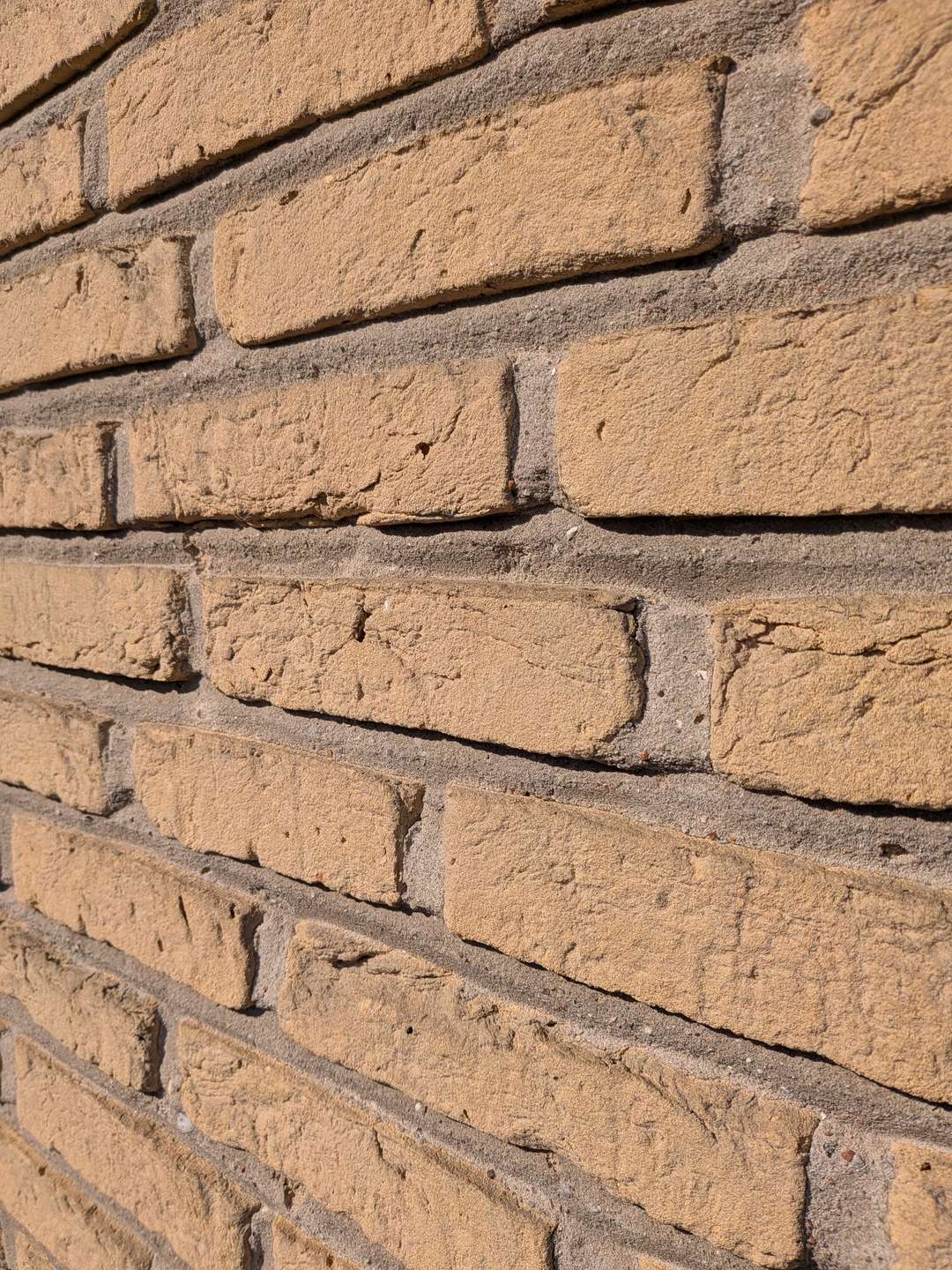 Wohnen und Arbeiten, wo Ruhe und Lebensqualität zuhause sind! in Dahlenburg