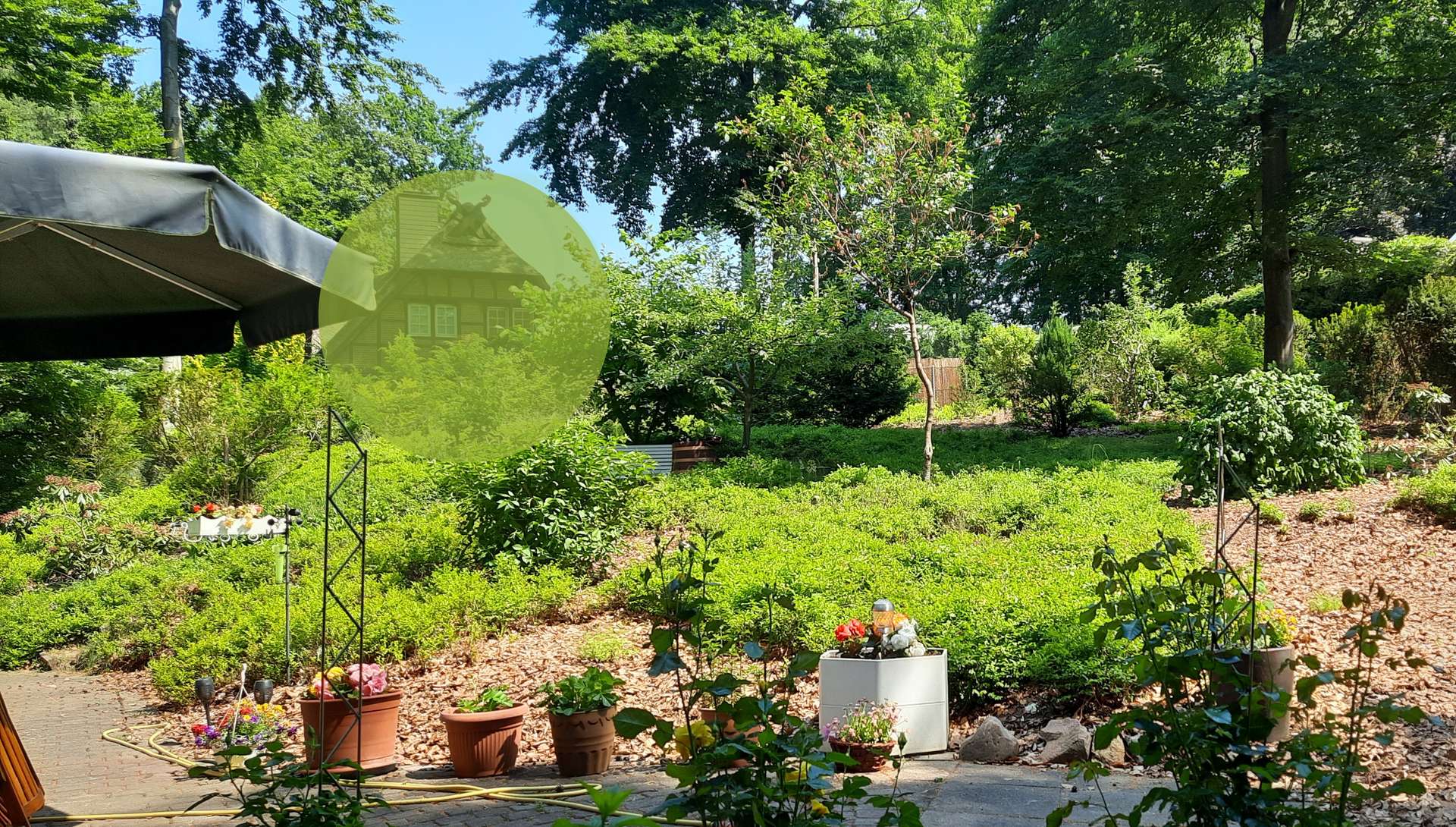 Unter den Dächern des Waldes die Ruhe und Natur genießen in Tosterglope