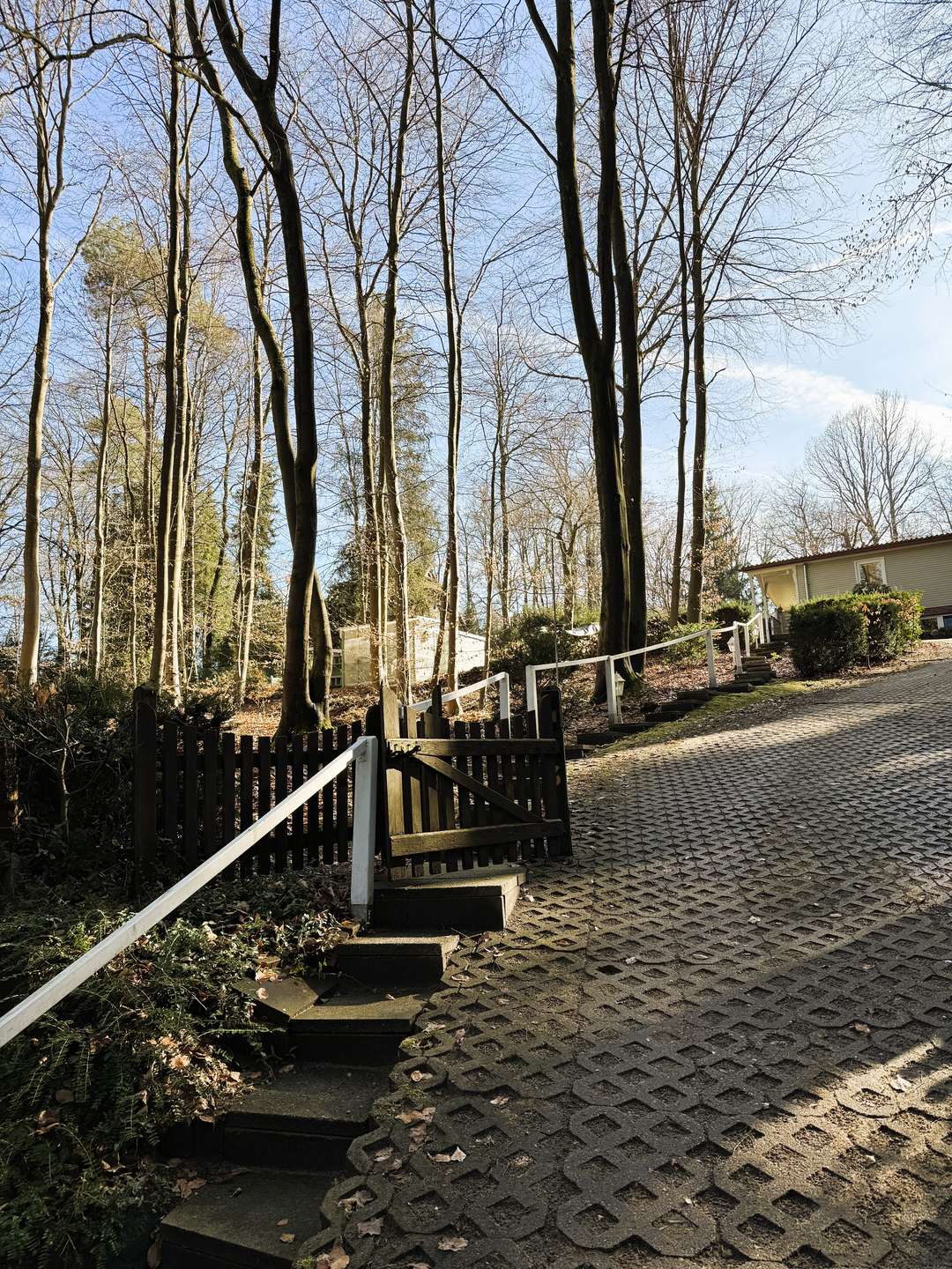 Unter den Dächern des Waldes die Ruhe und Natur genießen in Tosterglope