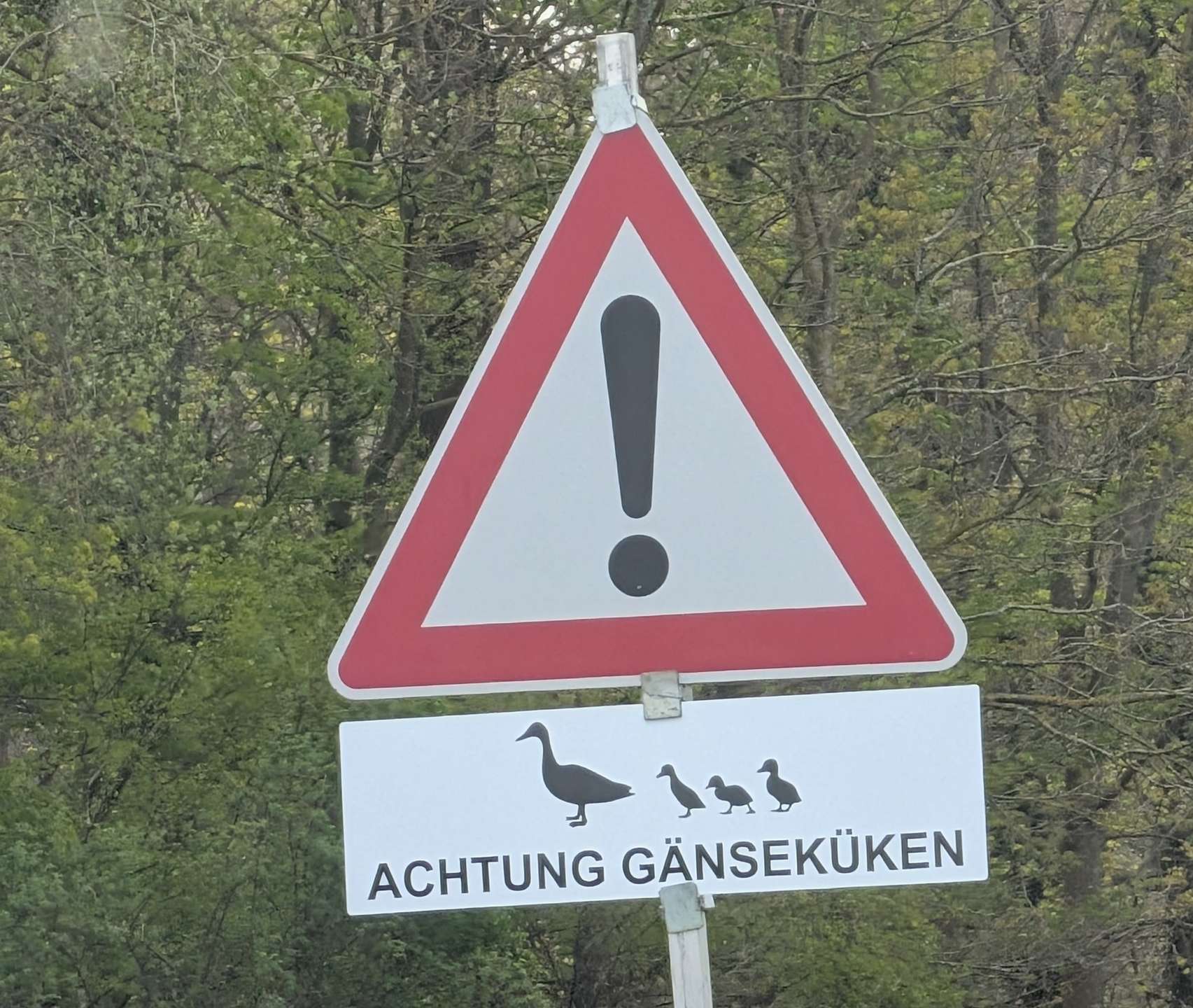 Immobilien in Lüneburg u. U. ⇒ von kaufen bis mieten