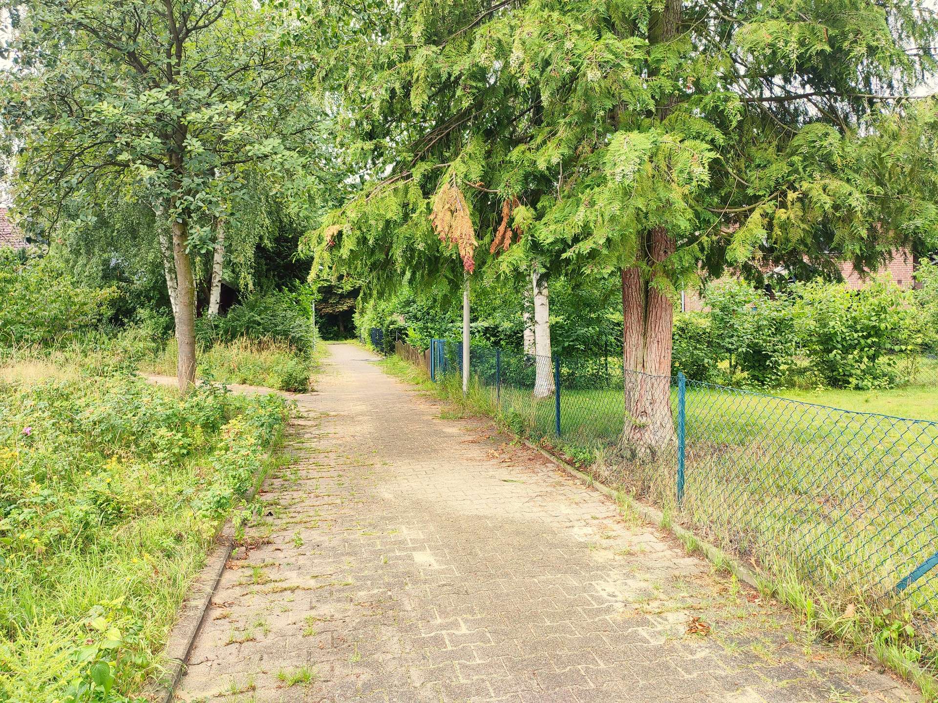 Investieren Sie sinnvoll - Komplettes Doppelhaus in bester Lage in Lüneburg! in Lüneburg