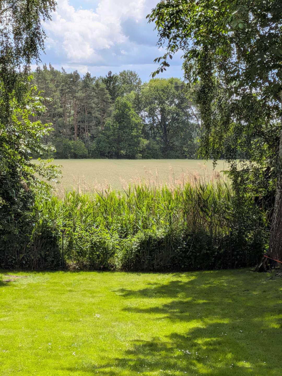 Sie haben einen Traum - wir haben Ihr Zuhause! in Barum