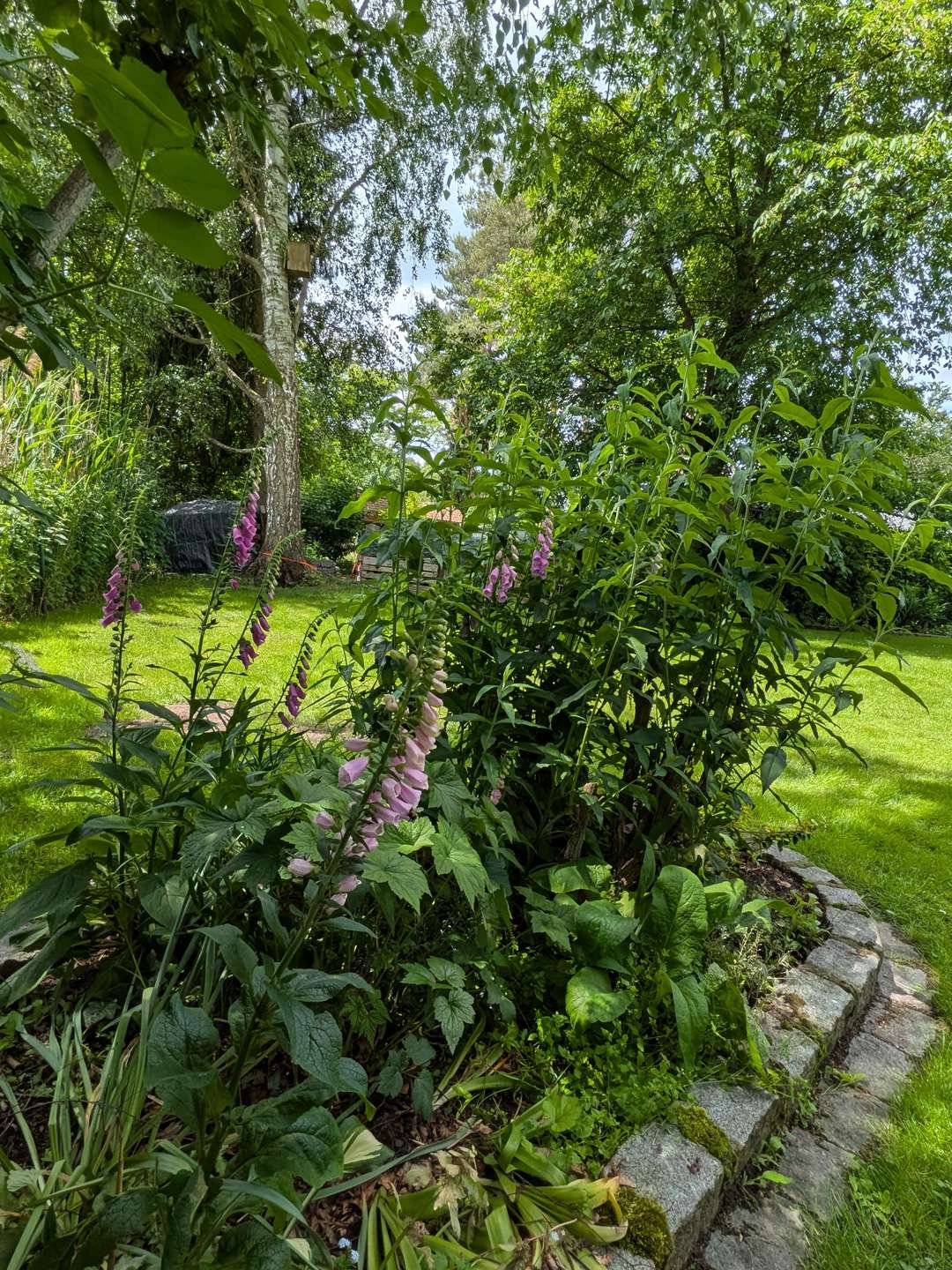 Sie haben einen Traum - wir haben Ihr Zuhause! in Barum