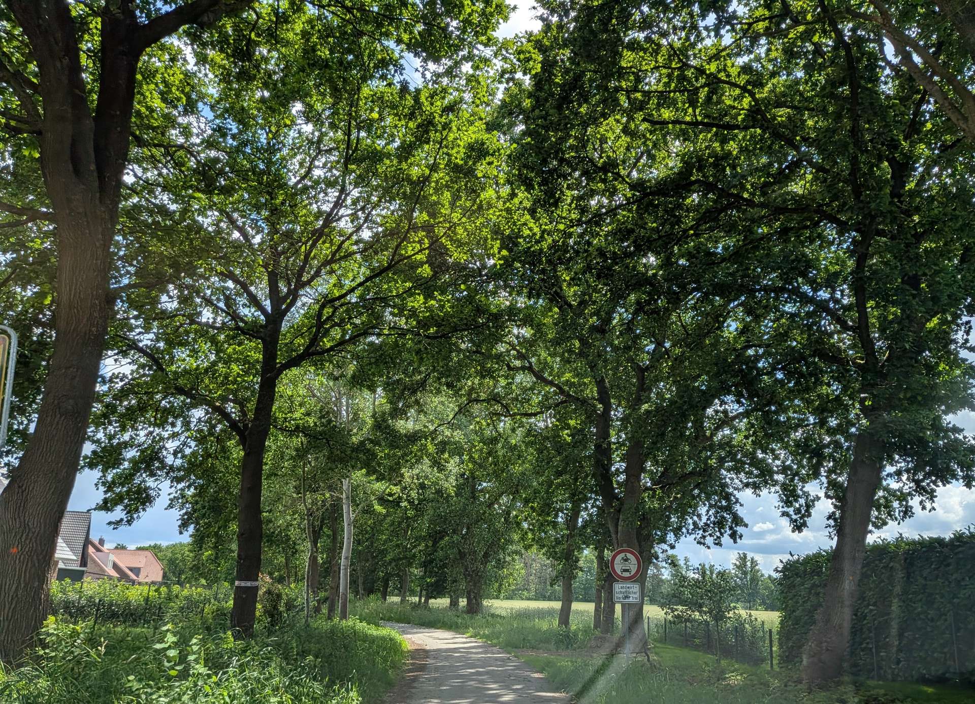 Sie haben einen Traum - wir haben Ihr Zuhause! in Barum