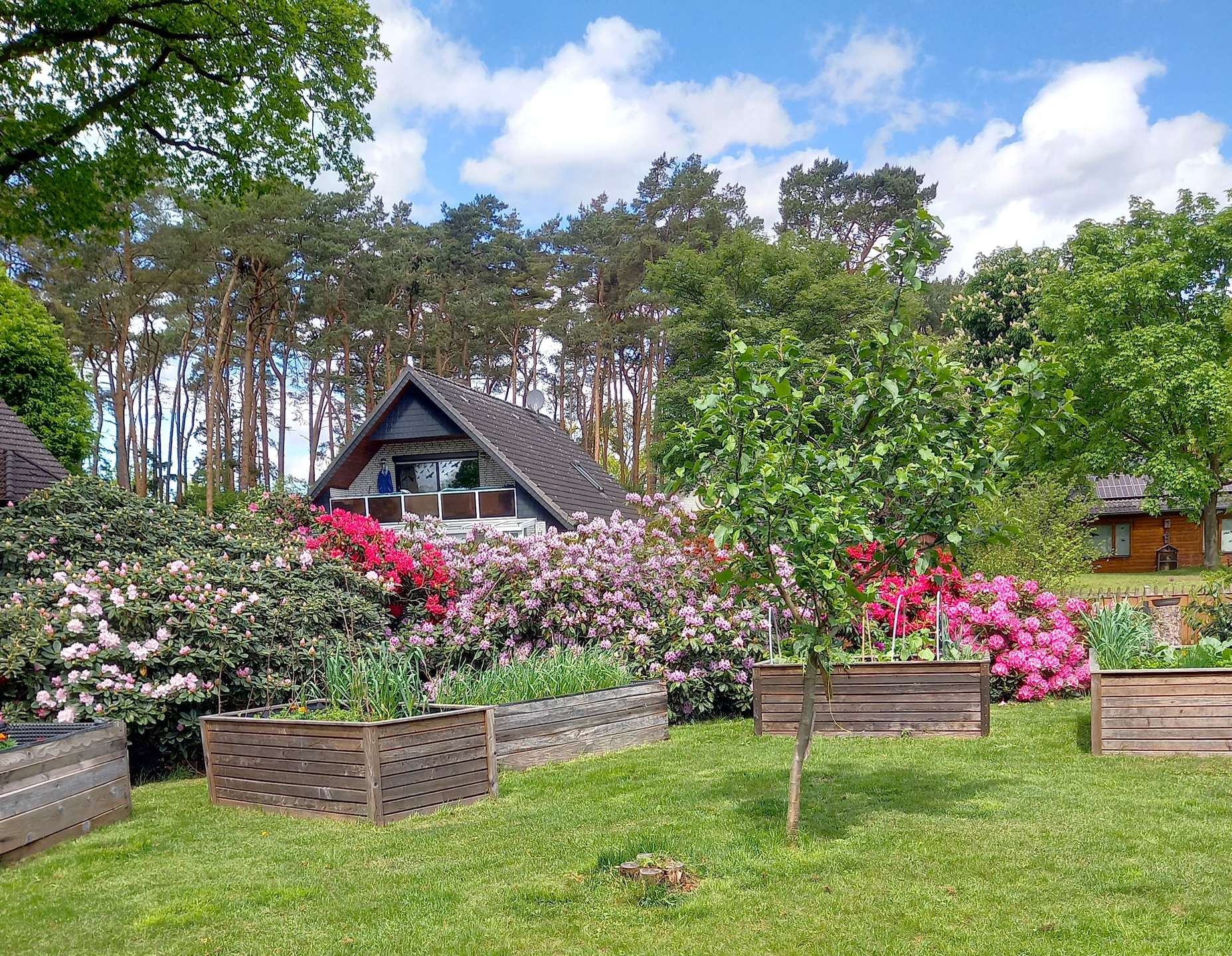 Sie haben einen Traum - wir haben Ihr Zuhause! in Barum